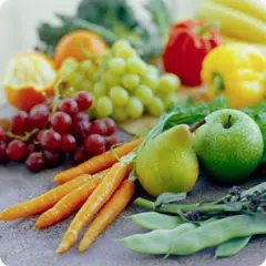 Книга о вкусной здоровой пище APK download