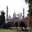 Aligarh News icon