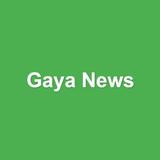 APK Gaya News