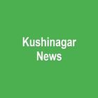Kushinagar News ícone