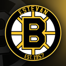 Estevan Bruins Official App APK