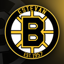 Estevan Bruins Official App-APK