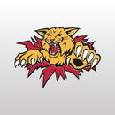 Moncton Wildcats APK