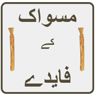 Miswak icon