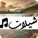 شيلات حزينة مؤثرة بدون نت +100 APK