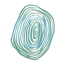 Territórios 5 Sentidos APK