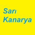 SarıKanarya