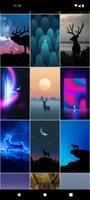 วอลเปเปอร์กวางที่สวยงาม ภาพหน้าจอ 1