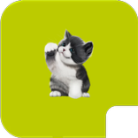 Cat stickers for whatsapp - WAStickerApps