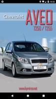 Chevrolet Aveo T250/T255 Plakat