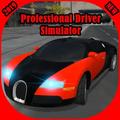 Professional Driver - Car Racing 2019-2020