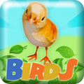 Birds 2048