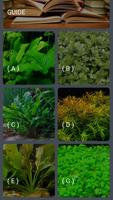 Aquatic Plants Encyclopedia capture d'écran 1