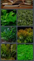 Aquatic Plants Encyclopedia imagem de tela 1