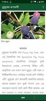 ভেষজ হারবাল screenshot 1