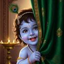 Gopala Chalisa With Audio APK