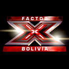 Factor X Bolivia icône