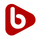 bzone icon