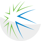 bMobile Sales Invoice APK