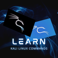 Learn Kali Linux commands