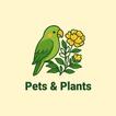 Pets and Plants-pets info icon