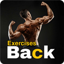back exercises APK