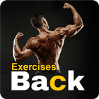 back exercises أيقونة