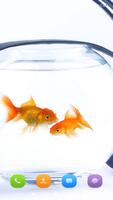 Goldfish Wallpaper 스크린샷 3
