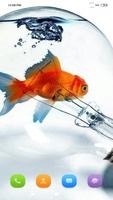 Goldfish Wallpaper 포스터