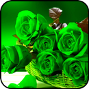 Green Wallpaper APK