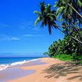 Goa Wallpapers