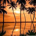 Hawaii Wallpapers