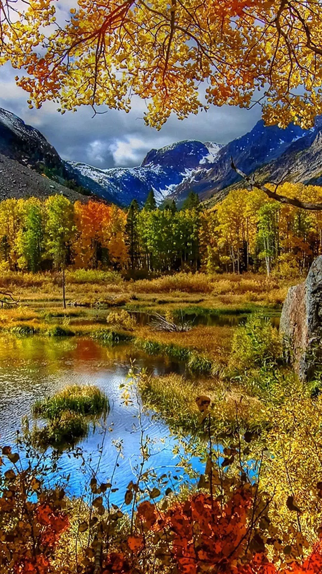 Autumn Wallpapers APK for Android Download Autumn Wallpapers APK for Android Download