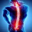 SPINE Sense icon