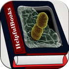 Bacteria icon