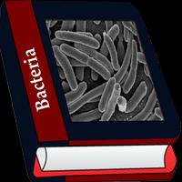 bacterie-poster