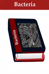 Baixar Bactérias APK