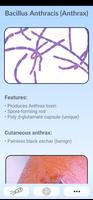 Microbiology Guide Pro capture d'écran 1
