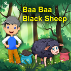 Icona Baba Black Sheep