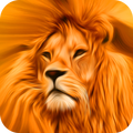 All Real Animal Sound And Name