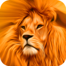 All Real Animal Sound And Name APK