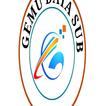 GemuDataSub آئیکن
