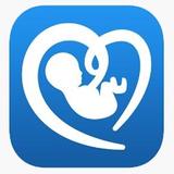 Baby Scope Heartbeat Monitor 2018