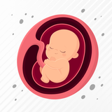 Baby Tracker Pregnancy App aplikacja