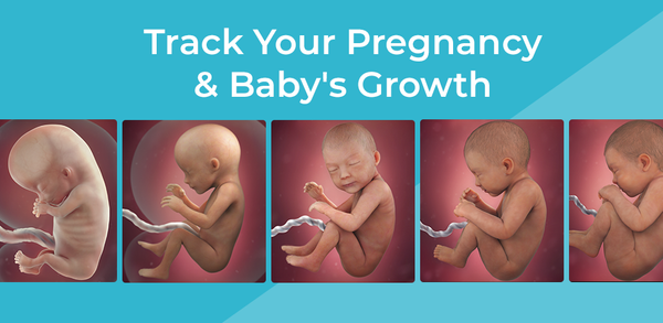 How to Download Pregnancy App & Baby Tracker for Android image