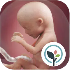 download Pregnancy App & Baby Tracker APK