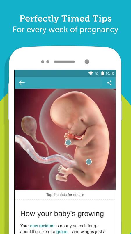 pregnancy tracker countdown to baby due date for android apk