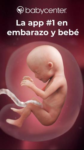 Download Mi Embarazo Y Mi Bebe Dia A Dia 3 23 0 Android Apk