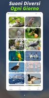 1 Schermata Animale Magico: 180 Animali e 