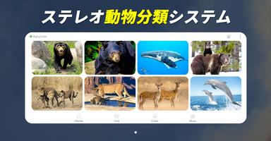 ワンダーアニマル：180の動物と鳥の音ゲーム スクリーンショット 3